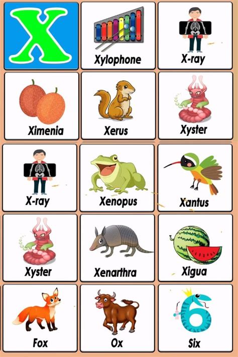 letter x words for kindergarten|Teaching X Words for Kindergarten .